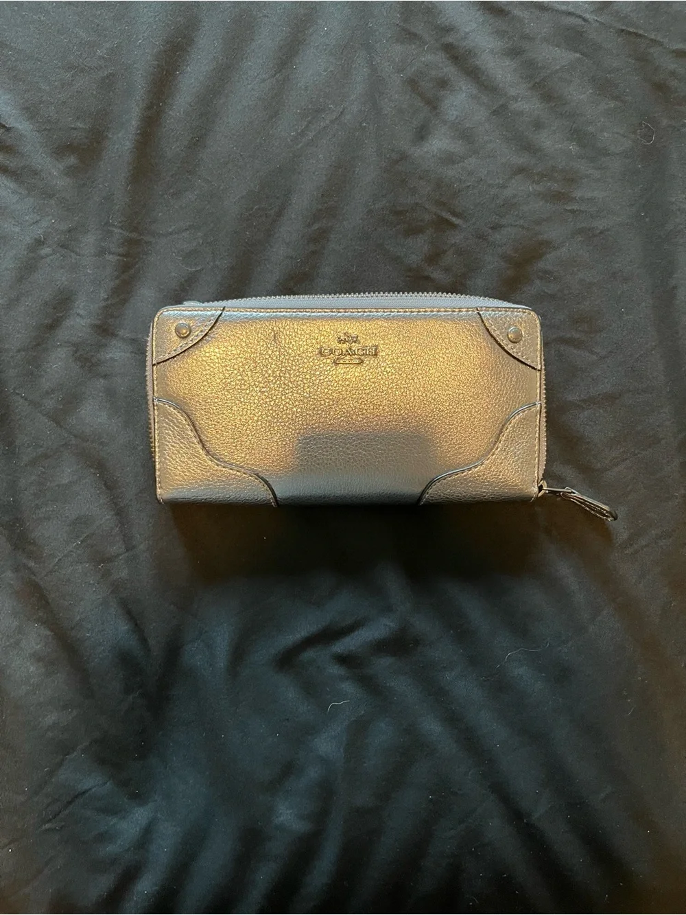 silver coach clutch